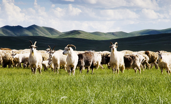 持續(xù)研發(fā)，自主專(zhuān)利